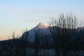 IMG_2284.JPG